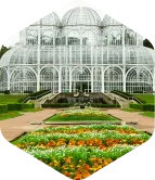 cbb asfaltos curitiba pr matriz